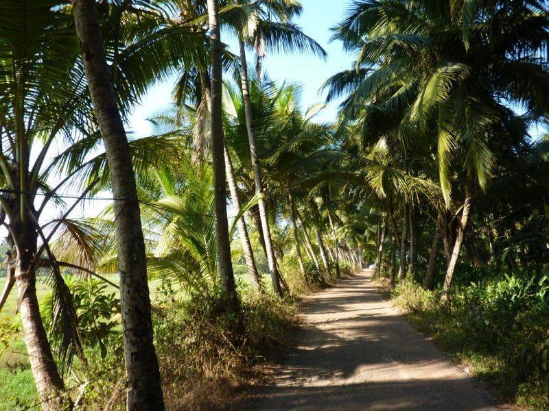 Coconut Grove Beach Resort Colva Bagian luar foto